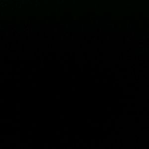 Meet your Posher, Sully